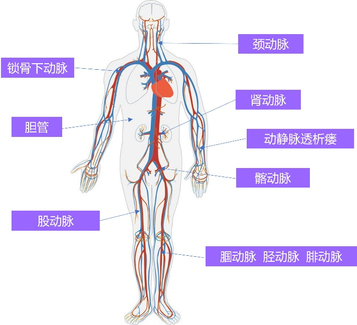 &#20061;&#24030;&#25163;&#26426;&#29256;&#30331;&#24405;&#20837;&#21475;&#45;&#20061;&#24030;&#65288;&#20013;&#22269;&#65289;&#23448;&#26041;&#32593;&#31449;
